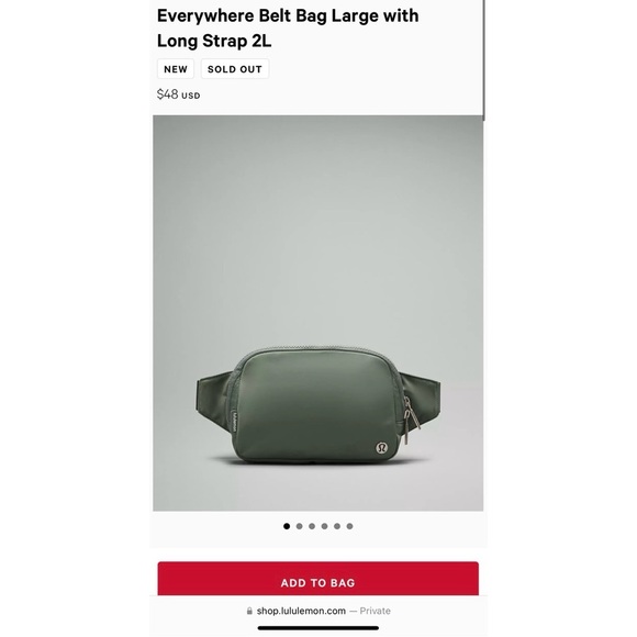 🚫🚫SOLD🚫🚫Everywhere Belt Bag Large with Long Strap 2L - Picture 5 of 5